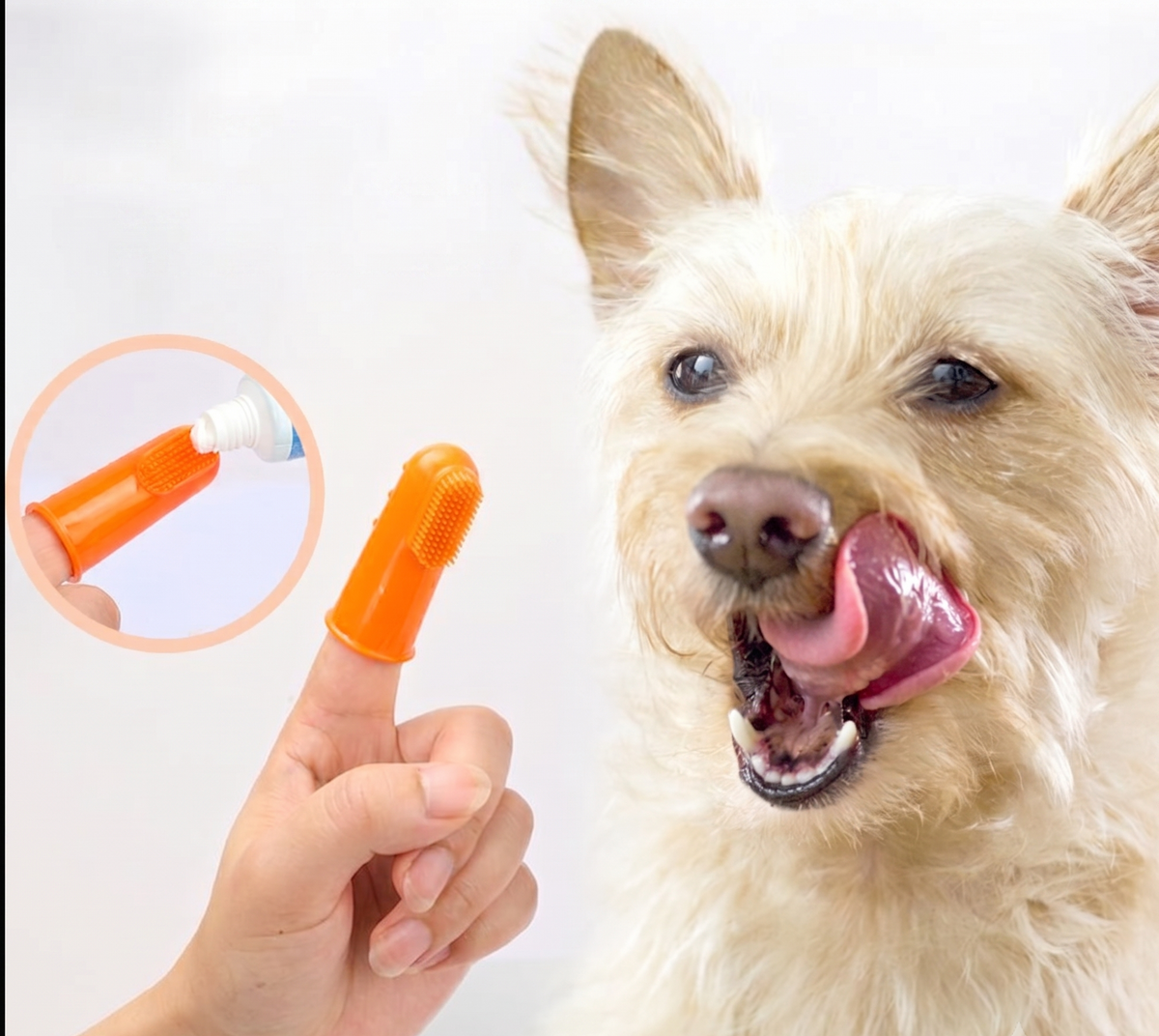 Pet Finger Toothbrush